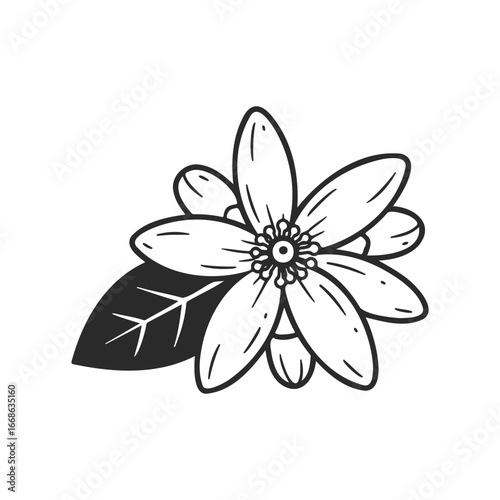 Black and white floral design with leaves and petals illustrating simplicity