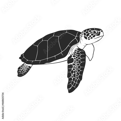 Black and white sea turtle illustration with detailed shell and flippers