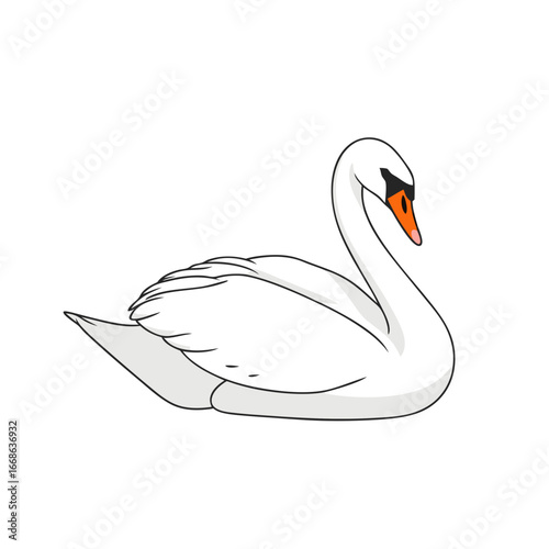 Elegant white swan illustration on a white background, vector animal design