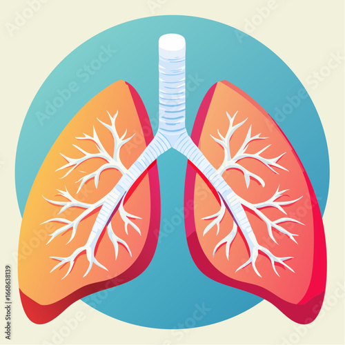 Anatomical illustration of healthy human lungs with bronchi and alveoli