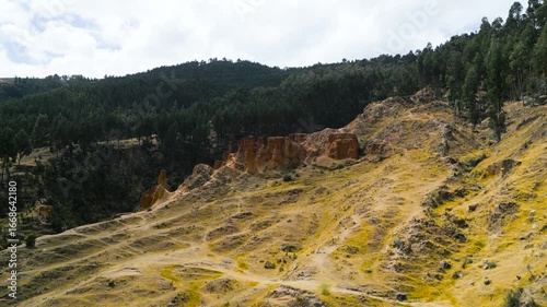 Rock formations in an andean forest in peru.