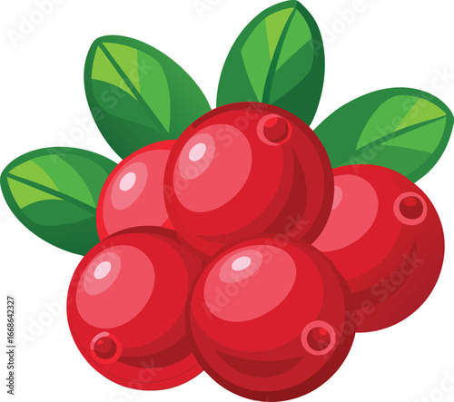 Cranberry bunch
