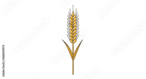 single stalk of ripe wheat ready for harvest.
