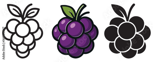 A visual comparison of grapes presented in three distinct artistic styles: a black and white outline, a vibrant colored illustration, and a solid black silhouette.