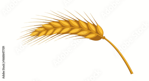Golden Wheat Ear Close Up.