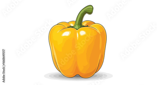 Single Yellow Bell Pepper.