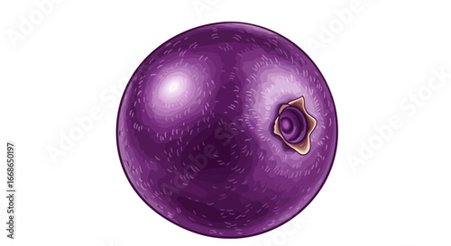 Single Ripe Blueberry Close-Up.