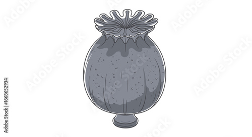 Poppy Seed Pod Illustration in Gray.