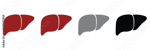 Human Liver Icon Set – Medical Anatomy Organ Vector Illustration for Healthcare and Anatomy Design