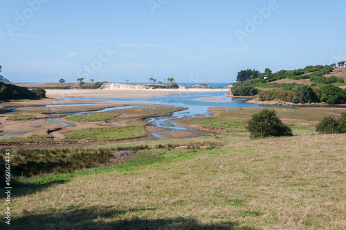 Marisma en desembocadura de río al mar