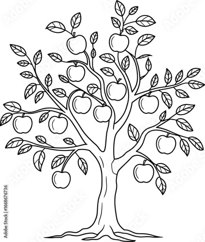 Apple tree line art, hand drawn black and white sketch, fruit tree illustration with apples and leaves, nature plant drawing