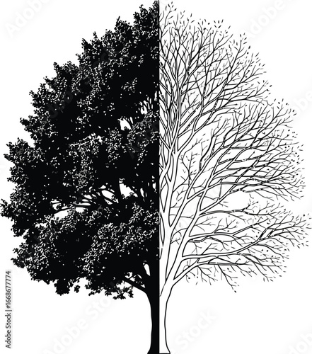 Dichotomy of nature a tree split between life and death concept