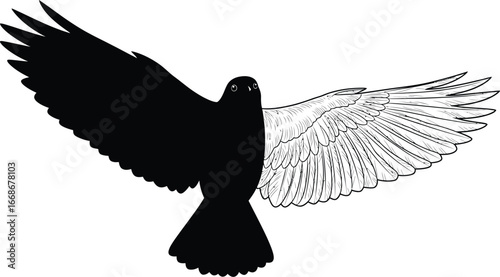 Bird with contrasting wings symbolizing duality and balance in nature