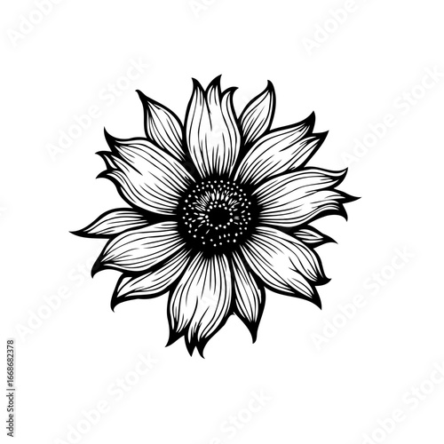 Black and white sunflower illustration conveys artistic representation of nature's beauty and