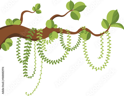 Tropical tree branch with hanging vines, jungle foliage vector, green leaves illustration, rainforest plant clipart, natural nature decor