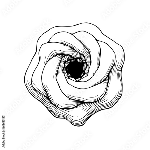 Elegant monochrome floral drawing showcasing swirling petals around a central dark void creating