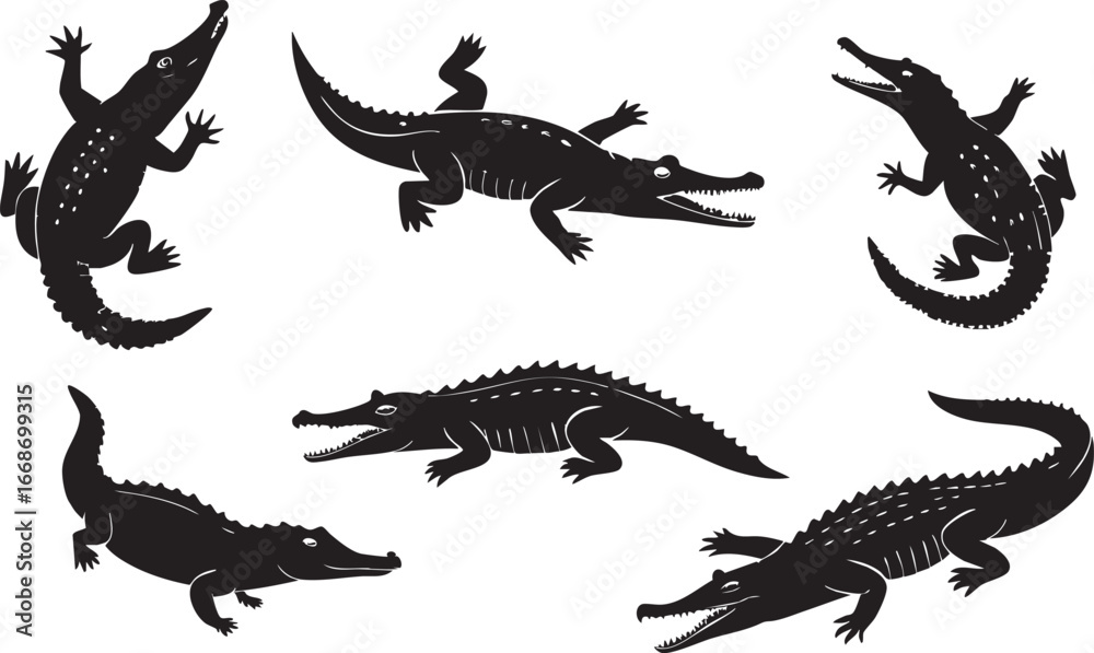 Fototapeta premium set of crocodile