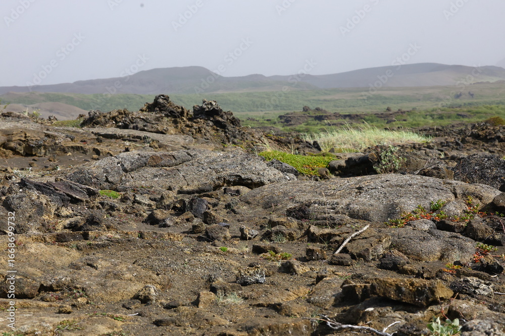 Obraz premium A wide view of a volcanic lava field in Iceland, with sharp rocks, sparse vegetation, and misty hills in the background. The barren volcanic terrain contrasts with small bursts of greenery.