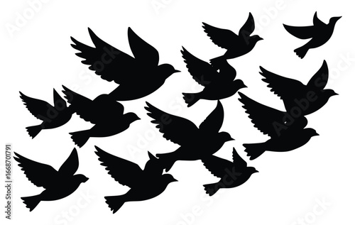 Silhouette of doves flying together representing freedom peace and spirituality