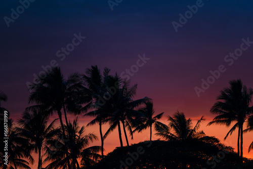 Hawaiian Sunset with Vibrant Tropical Sky and Palm Tree Silhouettes - Oahu Hawaii