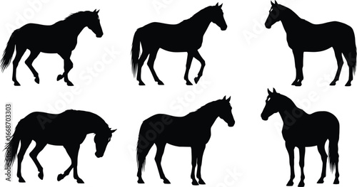Horse silhouette vector set equestrian animal black design art