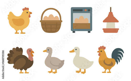 Farmyard fowl and egg collection with incubator and feeder