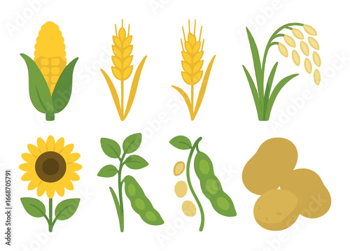 Illustrated variety of agricultural crops including corn, wheat, rice, sunflower, soybeans, potatoes