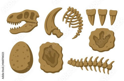 Ancient dinosaur fossils: skulls, claws, ribs, teeth, eggs, tracks, spines