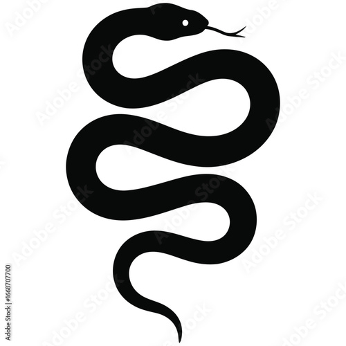 snake vector illustration