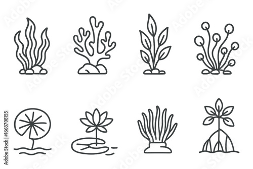 Abstract aquatic plant illustrations on a dark textured background