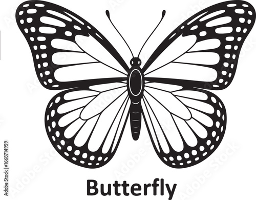 Black and White Monarch Butterfly Illustration with the word Butterfly