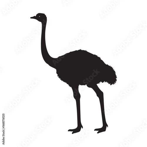 Vector art of silhouette of an ostrich, a large flightless bird native to africa