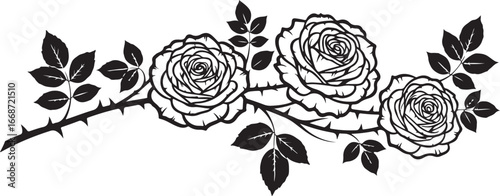 Black silhouette of three roses on a thorny branch with leaves on white background
