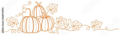 Pumpkin autumn line art style vector illustration