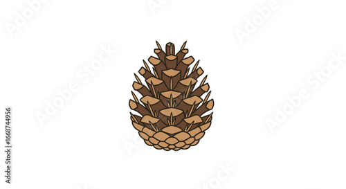 A single detailed brown pine cone illustration isolated on a white background.
