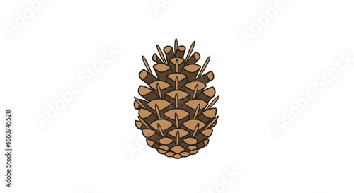 Single brown pine cone botanical vector illustration isolated.