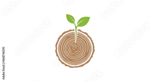 A new plant sprouts from a tree stump symbolizing growth and renewal.