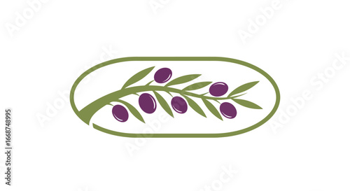 Olive Branch Illustration with Purple Olives.