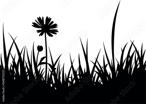 Silhouette of a single flower among grass blades