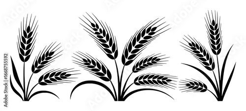 Black and White Stylized Wheat Stalks and Ears