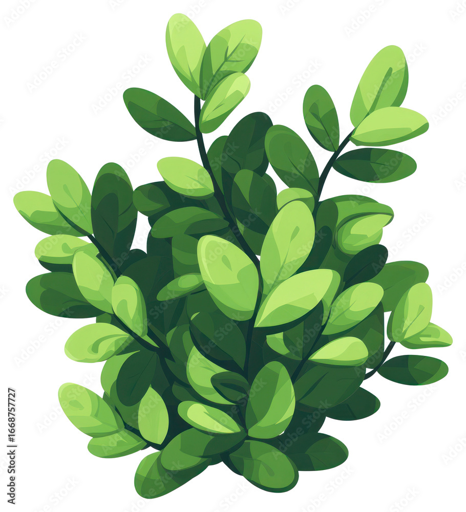 Fototapeta premium PNG Bush illustration plant green.