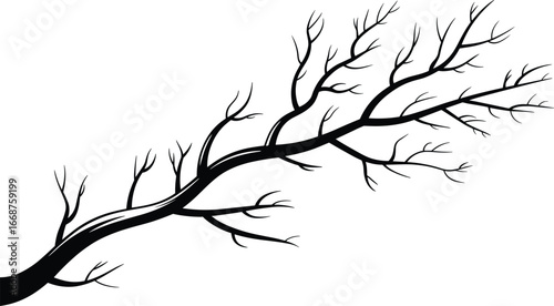 Black silhouette vector illustration of a bare tree branch with twigs, perfect for nature-themed designs, logos, or seasonal projects.