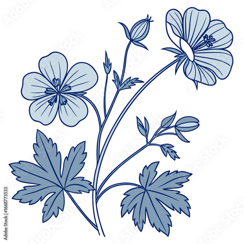 cranesbill hardy geranium blue on white background 