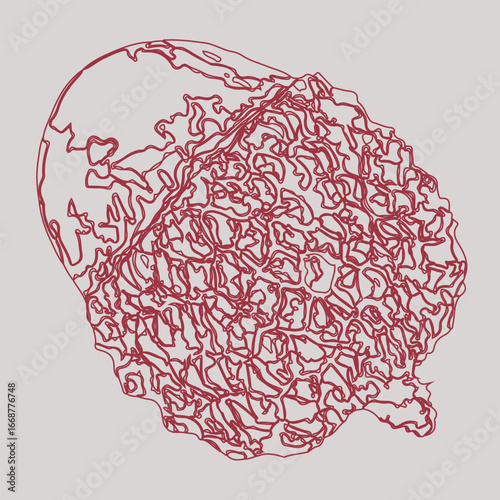 Structure of the human brain. Side Lateral view. Medical watercolor anatomy illustration. COLOR BACKGROUND