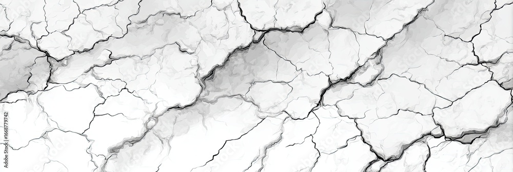 Obraz premium Abstract grayscale image depicting a cracked, veined surface resembling marble or dry earth, with thin, dark lines creating a complex network across a mostly light background