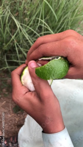Hands peeling lime outdoors