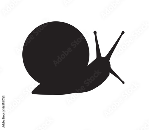 Detailed vector illustration of edible mollusks including clams and mussels, isolated on a clean white background. Perfect for seafood restaurant menus, culinary branding, food packaging, and cooking 