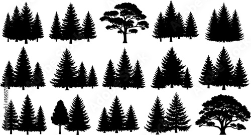 collection of silhouettes of forest trees vector. Christmas tree and pine tree vector silhouette. fir trees vector silhouette
