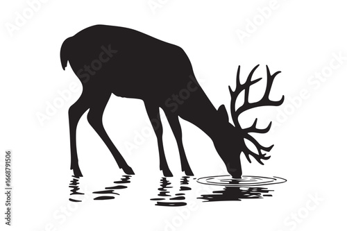 Silhouette of a majestic stag drinking water