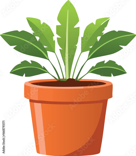 plant, pot, leaf, nature, flower, isolated, tree, houseplant, potted, growth, herb, botany, leaves, rosemary, gardening, home, flora, cactus, grow, garden, soil, house, palm, brown, flowerpot